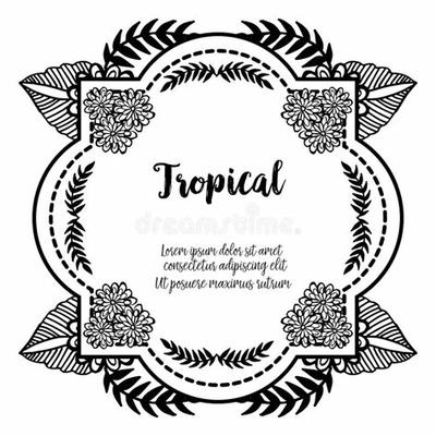 開(kāi)啟財(cái)富航程 代理加盟游戲的成功之道與技術(shù)開(kāi)發(fā)解析